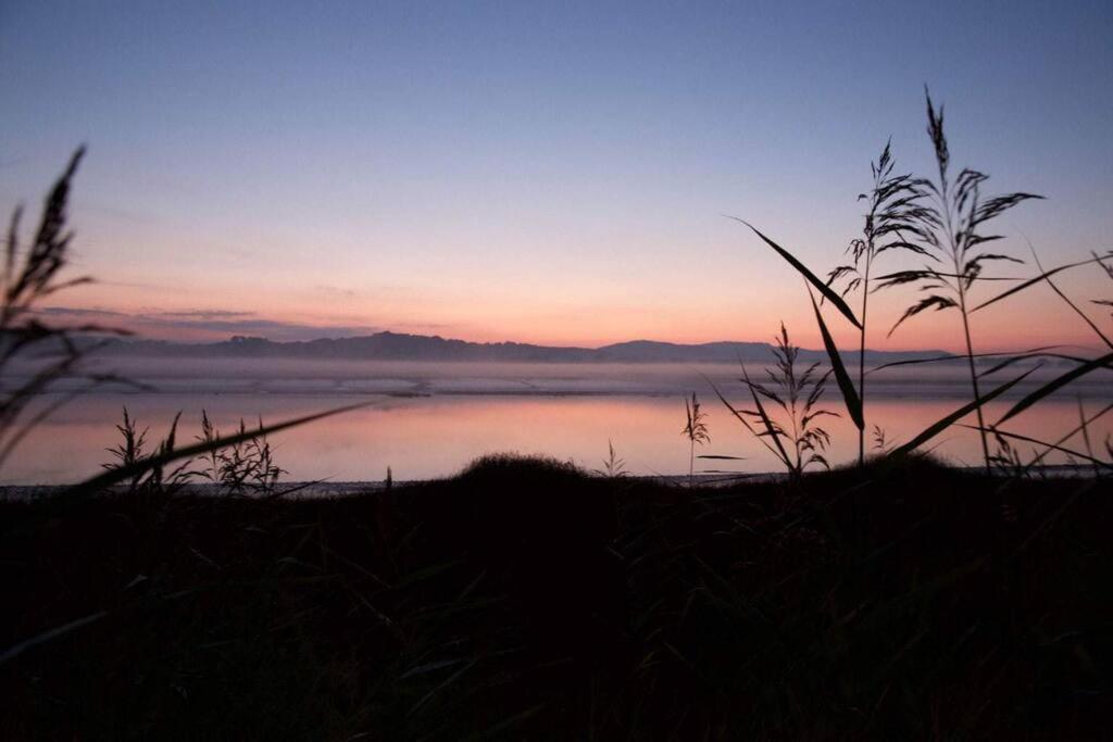 Shorepark - Waterfront Cottage With Stunning Views Dumfries Buitenkant foto