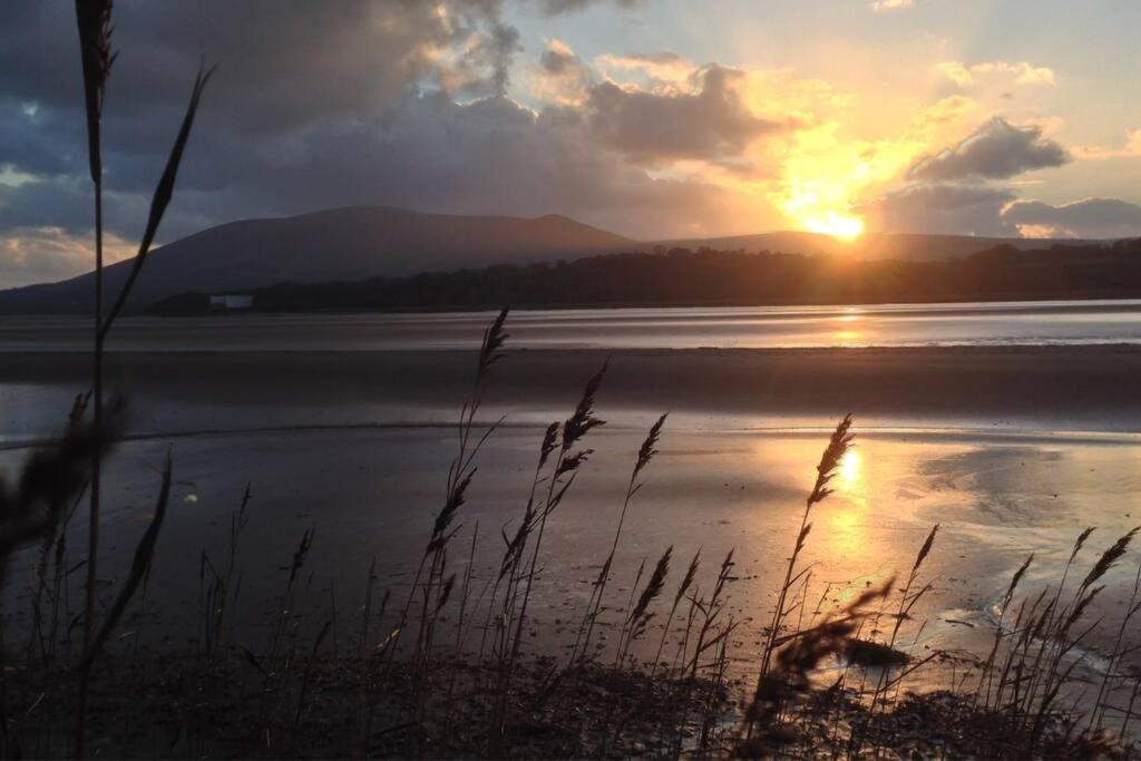 Shorepark - Waterfront Cottage With Stunning Views Dumfries Buitenkant foto